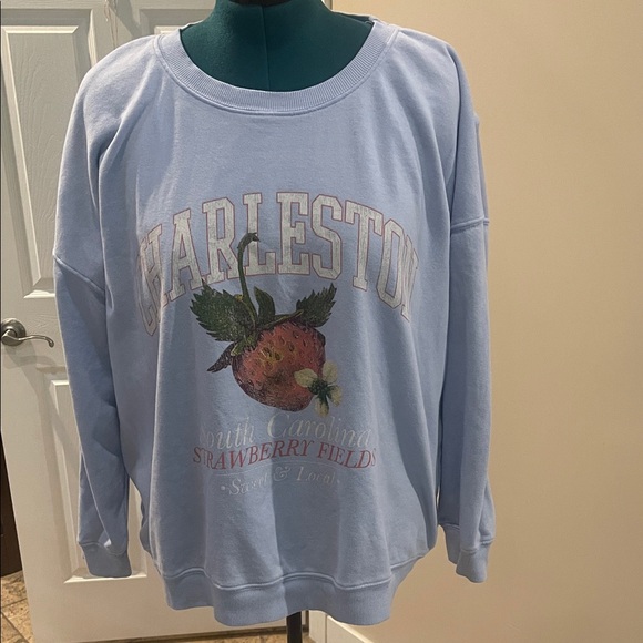 ARULA Sweaters - Arula Strawberry Fields Light Blue Graphic Sweatshirt 2X